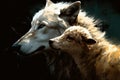 Wolf lamb together. Generate Ai