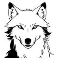 Wolf . Line art. Logo design for use in graphics. T-shirt print, tattoo design.