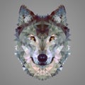 Wolf low poly portrait