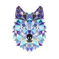Wolf low poly portrait. Gradient purple. Side light source. Abstract polygonal illustration
