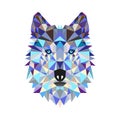 Wolf low poly portrait. Gradient purple. Side light source. Abstract polygonal illustration Royalty Free Stock Photo