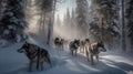 Wolf Pack\'s Coordinated Hunt in the Snowy Wilderness