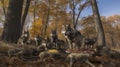 Wolf Pack\'s Hierarchical Feast After a Successful Hunt