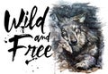 Wolf watercolor painting predator animals Wild and Free Royalty Free Stock Photo