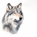 Wolf Set Watercolor Portraits With Flat Shading And Atmospheric Effects Royalty Free Stock Photo