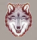 The head of a wolf. Dreamy magic art. Night, nature, wicca symbol. Isolated vector illustration. Great outdoors, tattoo Royalty Free Stock Photo