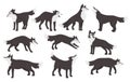 Wolf poses set, cute wild animal characters standing in different postures collection Royalty Free Stock Photo