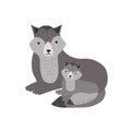 Wolf with pup isolated on white background. Adorable family of cute funny wild forest carnivorous animals. Parent with