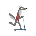 Wolf Riding Kick Scooter, Wild Animal Character Using Vehicle Vector Illustration