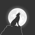 Wolf on the rock in the night graphic poster