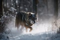 wolf running through snow-covered forest, its breath visible in the cold air