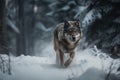 wolf running through snow-covered forest, its breath visible in the cold air