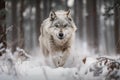 wolf running through snow-covered forest, its breath visible in the cold air