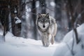 wolf running through snow-covered forest, its breath visible in the cold air