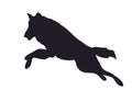 Wolf runs, image silhouette, vector