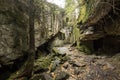 Wolf`s Lair, Adolf Hitler`s Bunker, Poland. First Eastern Front military headquarters, World War II. Complex blown up, abandoned