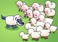 Wolf in sheep's clothes fooling a sheep herd Royalty Free Stock Photo