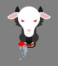 Wolf in sheep`s clothing face. vector illustration. Royalty Free Stock Photo