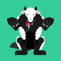 Wolf in sheep`s clothing isolated. vector illustration Royalty Free Stock Photo