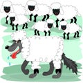 Wolf in sheeps clothing Royalty Free Stock Photo