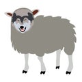 Wolf in sheeps clothing concept