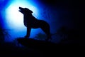 Wolf in silhouette howling to the full moon