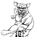 Wolf sports mascot punching