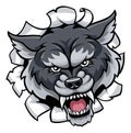 Wolf Sports Mascot Tearing Through Background Royalty Free Stock Photo