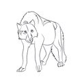 Wolf stands, lines, vector