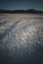 Wolf tracks in the snow in Russia