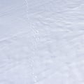 Wolf tracks in the snow