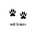 Wolf tracks