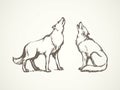 Wolf. Vector drawing Royalty Free Stock Photo