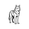 Wolf Vector Ironheart Shadow Royalty Free Stock Photo