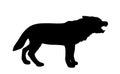 Wolf vector silhouette illustration isolated on white background. Royalty Free Stock Photo