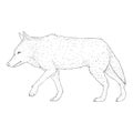 Wolf Walking Side View Vector Sketch Illustration