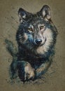 Wolf watercolor painting predator animals Wild and Free Royalty Free Stock Photo