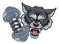 Wolf Werewolf Weight Lifting Dumbbell Gym Mascot Royalty Free Stock Photo