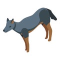 Wolf wild icon isometric vector. Predator carnivore