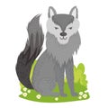 wolf wildlife cartoon