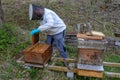 Beekeeper who is checking his honey production at Wolfenschissen on the Swiss alps