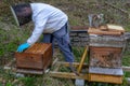 Beekeeper who is checking his honey production at Wolfenschissen on the Swiss alps