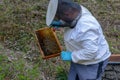 Beekeeper who is checking his honey production at Wolfenschissen on the Swiss alps