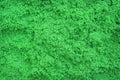 Wolffia globosa or Water Meal , green fresh water algae texture top view for nature plant background Royalty Free Stock Photo