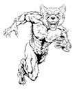 Wolfman mascot sprinting