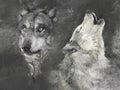 Wolfs, handmade illustration on grey background Royalty Free Stock Photo