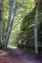 Wolfs Lair, historic headquarters of Adolf Hitler in Poland Royalty Free Stock Photo