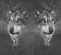 Wolfs. Tattoo design over grey Royalty Free Stock Photo