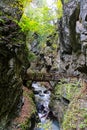 Wolfsklamm gorge in Austria a rock in autumn waterfall