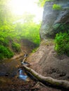 Wolfsschlucht in a jungle-like nature with river waterfalls and high rock faces